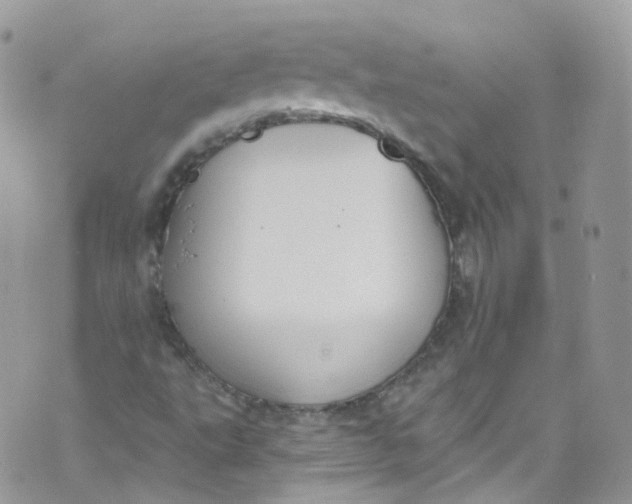 X0000072991495200608111754