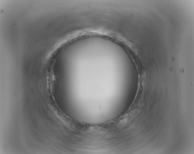 X0000072991496200608111754