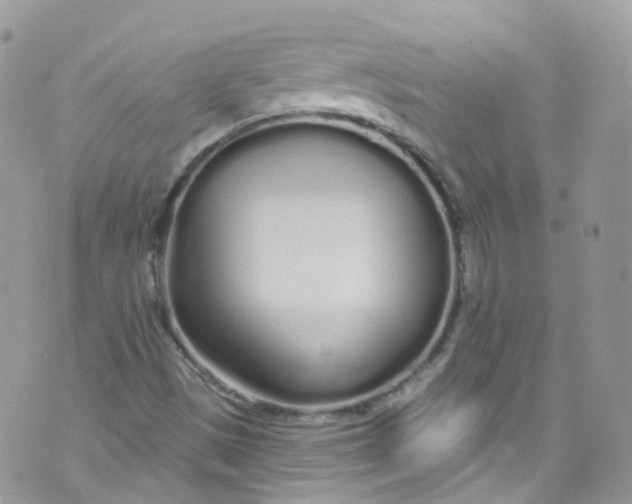 X0000072991497200608111754