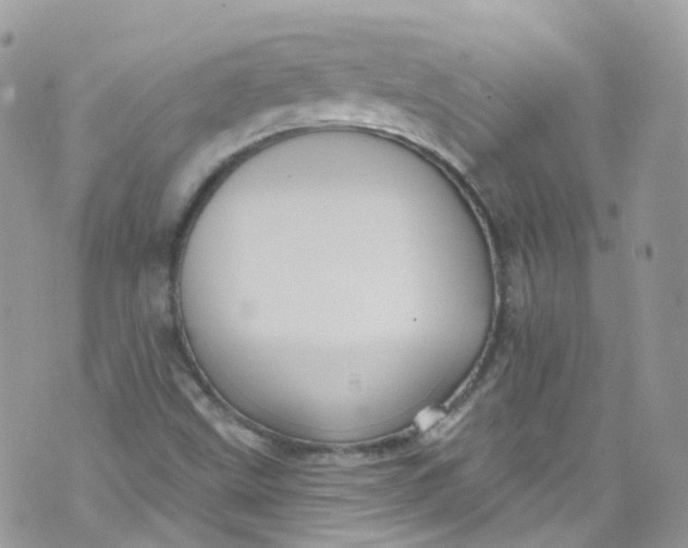 X0000072991499200608111754