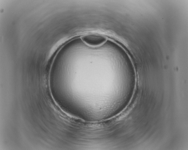 X0000072991501200608111754