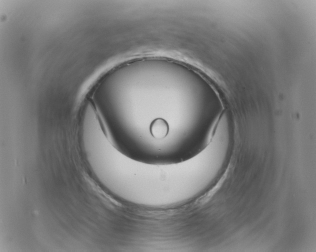 X0000072991502200608111754