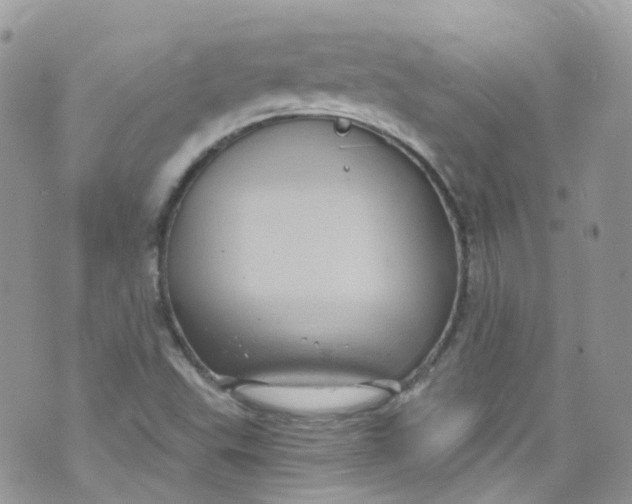 X0000072991503200608111754