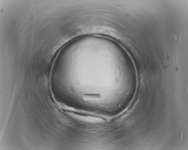 X0000072991505200608111754