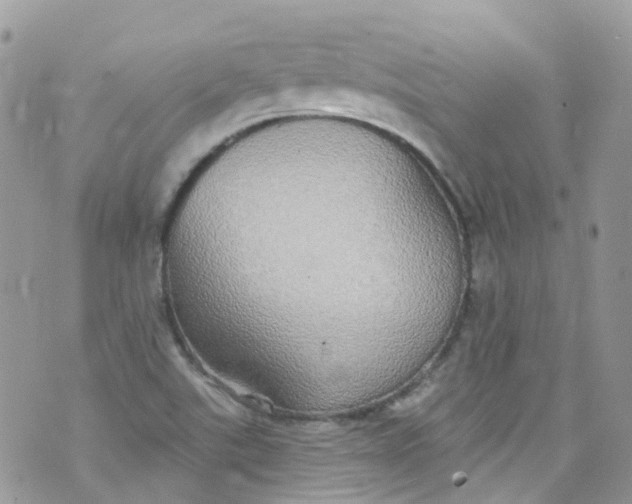 X0000072991507200608111754