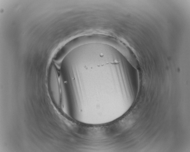 X0000072991508200608111754