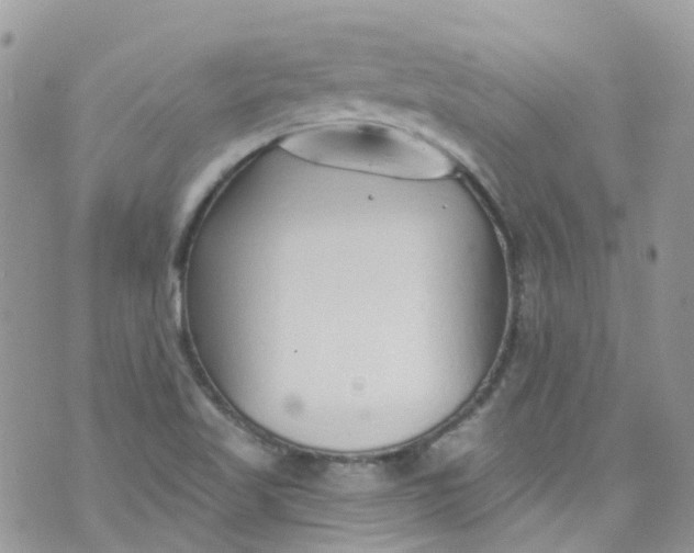 X0000072991509200608111754