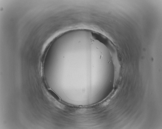 X0000072991510200608111754