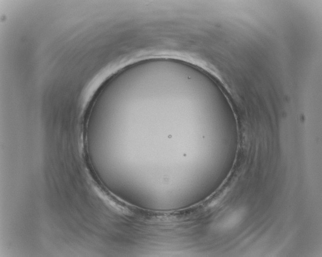 X0000072991511200608111754