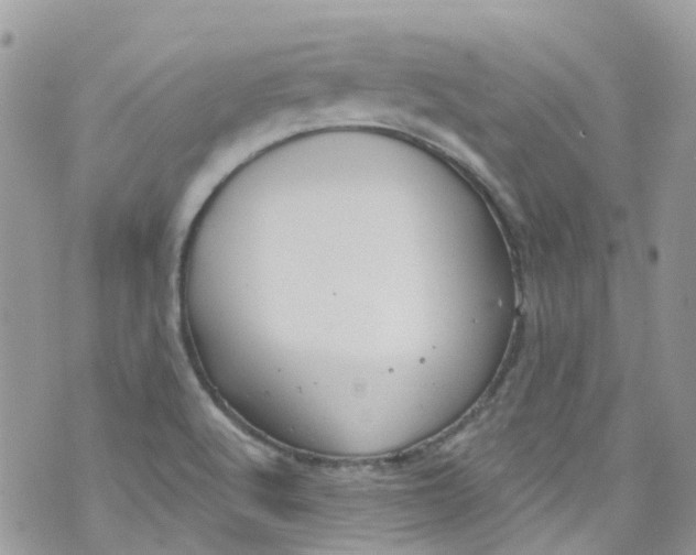 X0000072991512200608111754