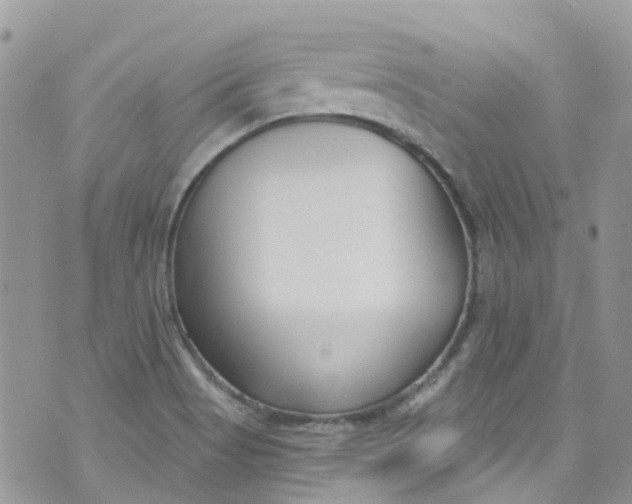 X0000072991513200608111754