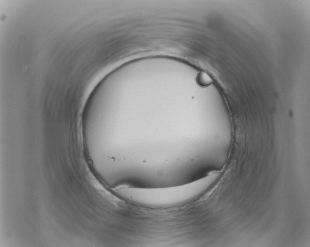 X0000072991516200608111754