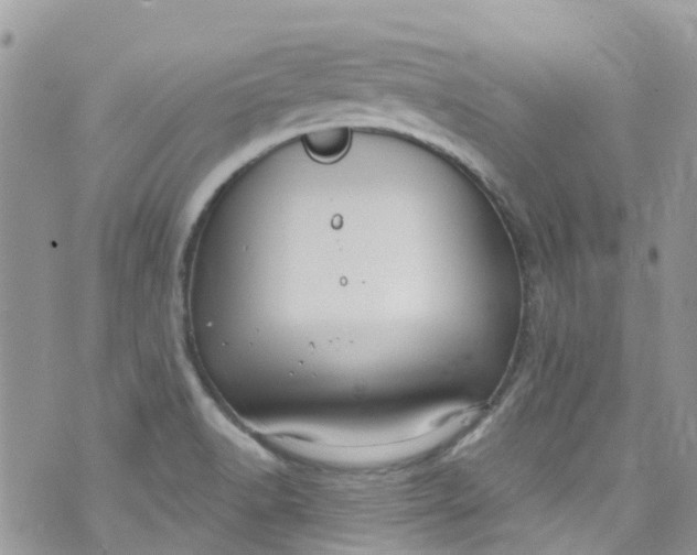 X0000072991518200608111754