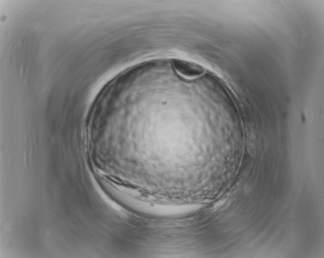 X0000072991519200608111754