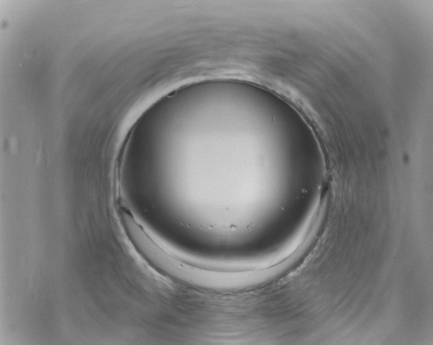 X0000072991520200608111754