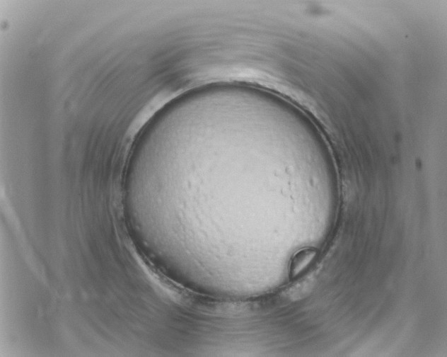 X0000072991521200608111754