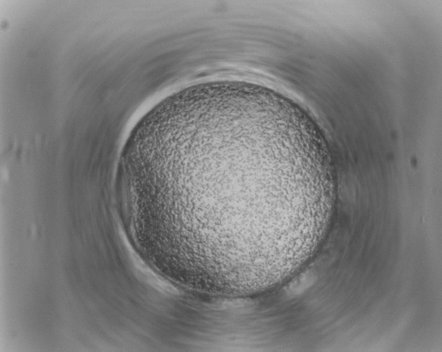 X0000072991522200608111754