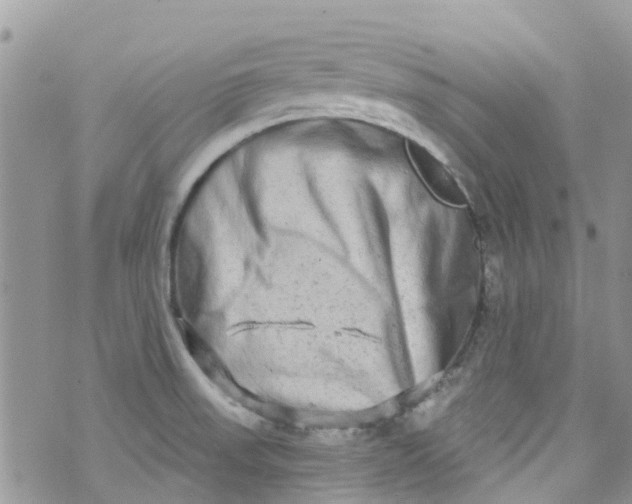 X0000072991523200608111754