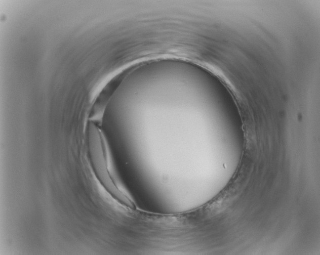 X0000072991524200608111754