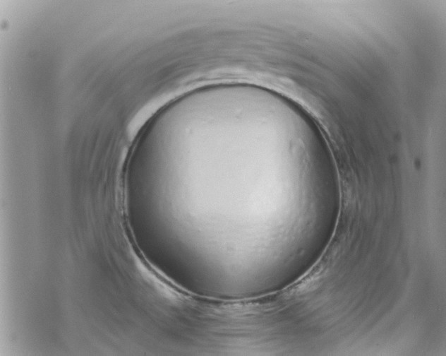 X0000072991527200608111754