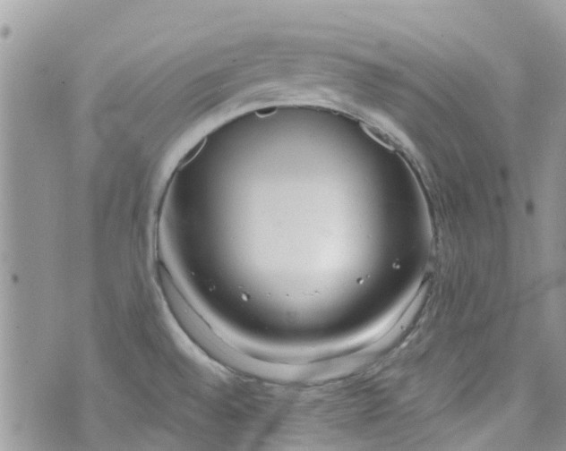 X0000072991528200608111754