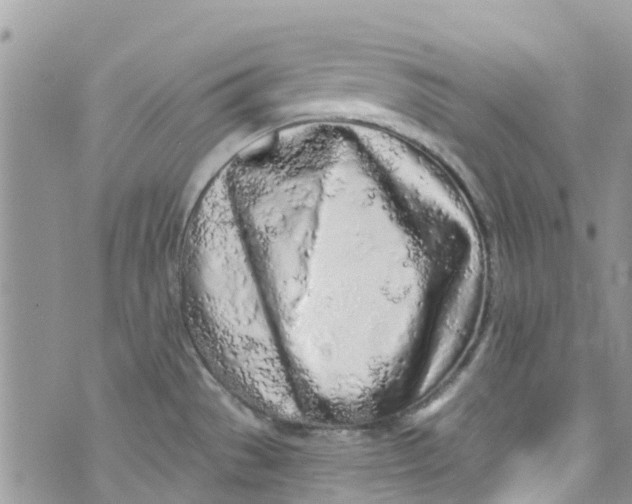 X0000072991529200608111754