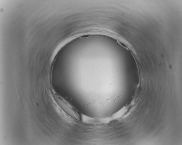 X0000072991530200608111754