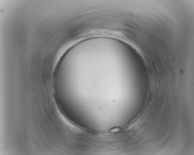 X0000072991531200608111754