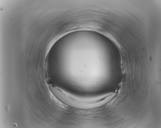 X0000072991532200608111754