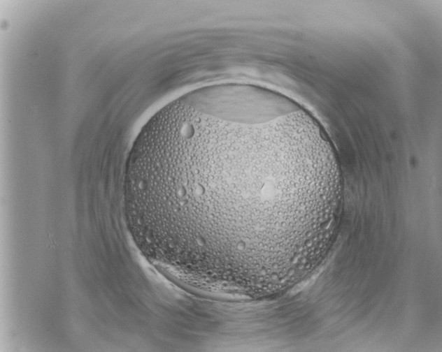 X0000072991534200608111754