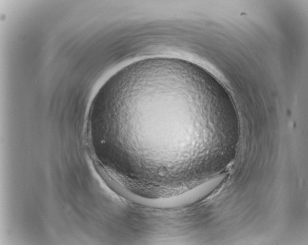 X0000072991536200608111754