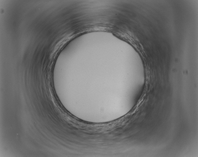 X0000072990001200608211527