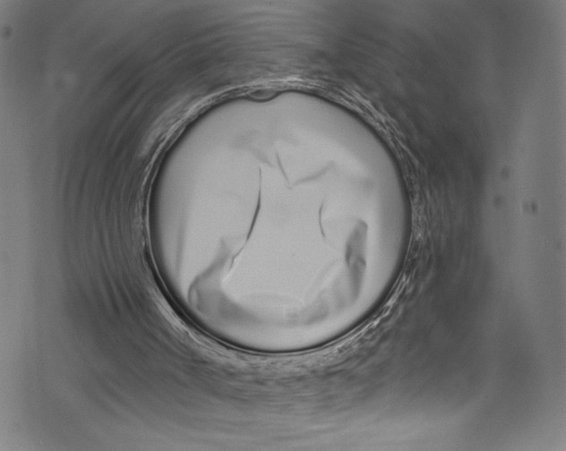 X0000072990002200608211527