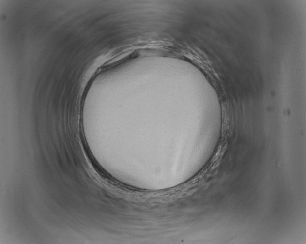 X0000072990003200608211527