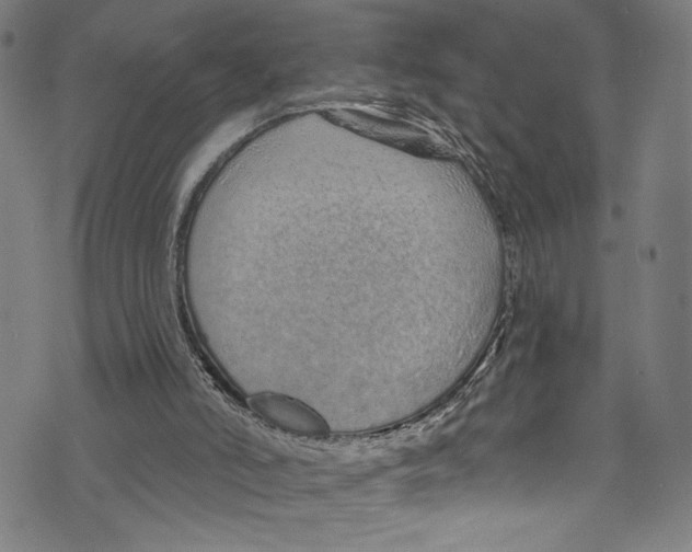 X0000072990006200608211527