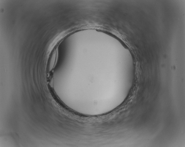 X0000072990007200608211527