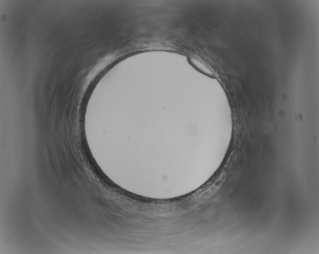 X0000072990008200608211527