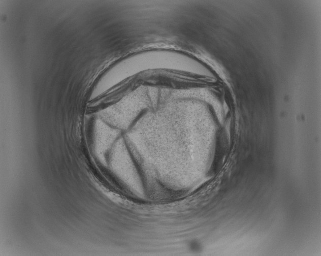 X0000072990009200608211527