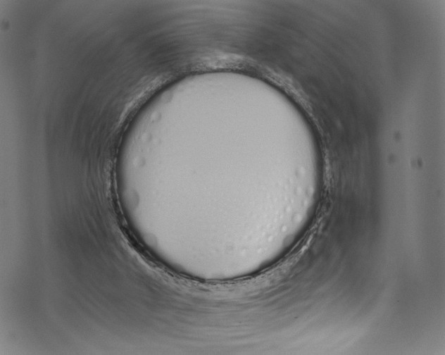 X0000072990010200608211527