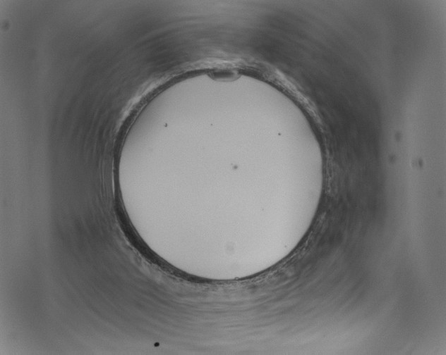 X0000072990011200608211527