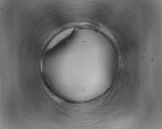 X0000072990013200608211527