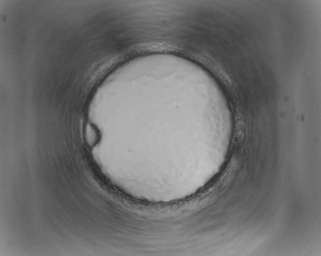 X0000072990014200608211527