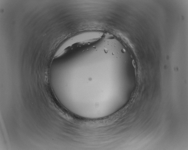 X0000072990017200608211527