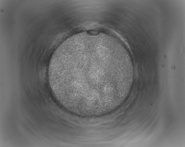 X0000072990018200608211527