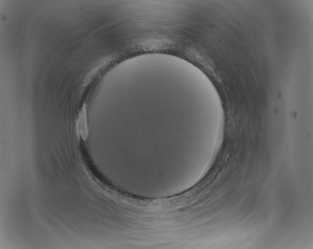 X0000072990019200608211527