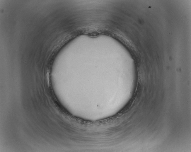 X0000072990022200608211527