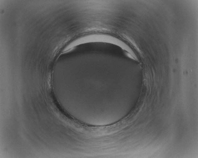 X0000072990023200608211527