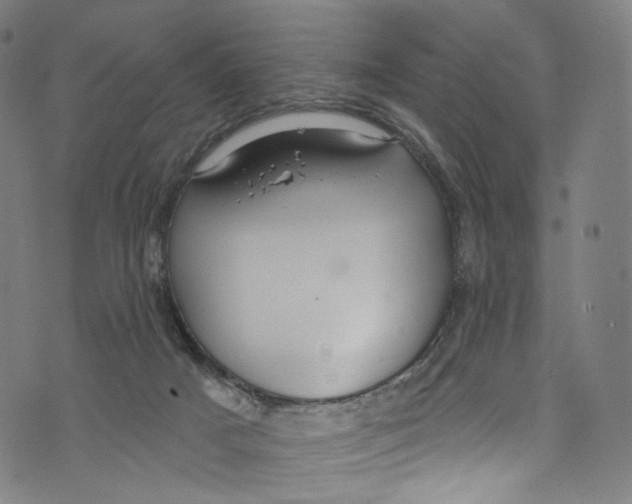 X0000072990025200608211527