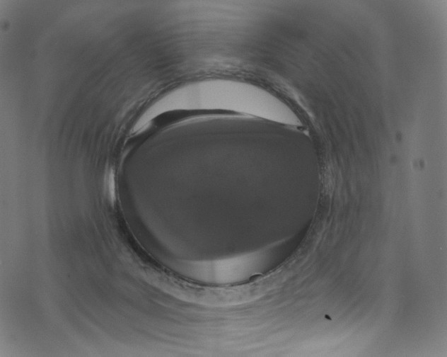 X0000072990027200608211527