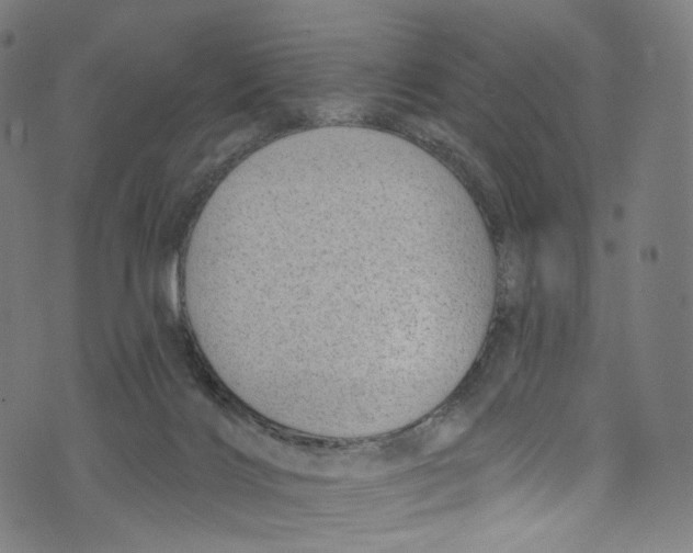 X0000072990028200608211527